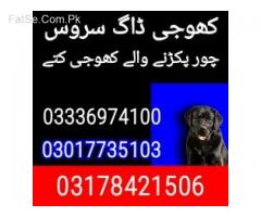 Army dog center faisalabad 03017735103