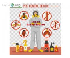 A to Z Global Enterprises | Pest Control | Termite (Deemak) Control | Dengue fumigation Services