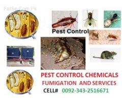 mentor.fumigation