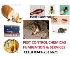 mentor.fumigation