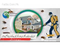 A to Z Global Enterprises | Pest Control | Termite (Deemak) Control | Dengue Fumigation Services