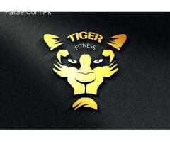 Jibran Ahmed: vector illustrator 2d graphics designing