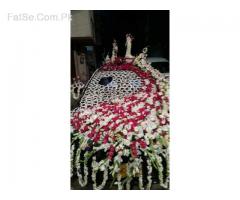 786 Mahnoor & Malik Transport