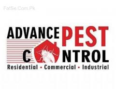 Bismillah Fumigation" Safe your home to termite