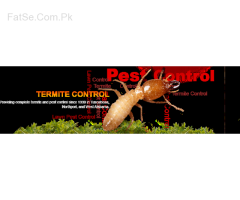 Bismillah Fumigation" Termite control service