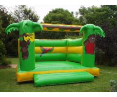 Magician / magic show / Cartoon / Jumping Castle for Birthday party