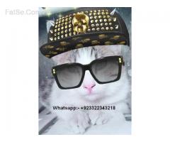 cat kittens mail & femail age are 3 month