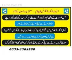 State LIfe Insurance