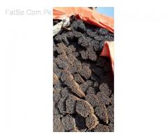 steel bar mills in china & Pakistan.