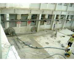 Demolition Services hotels, cinema house, shopping plaza, old brigs,....