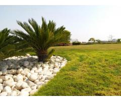 Leased Plot Near Malir Cantt Best Buy