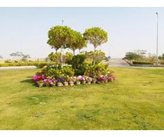 Leased Plot Near Malir Cantt Best Buy