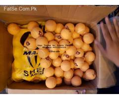 tennis balls quintet one container
