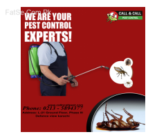 Fumigation services in karachi