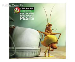 Fumigation services in karachi