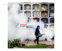 Fumigation services in karachi