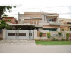commercial Professionals building panters availabal