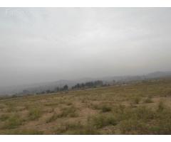 Beautiful Plot Is Available For Sale At Sunflower Block, Dha Valley, Islamabad