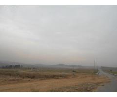 Al Basit Real Estate Offers 8 Marla Sunflower Residential Plot