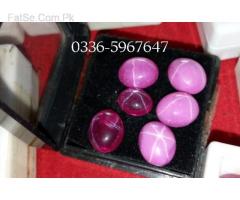 Ruby Star African (Whatsapp for Price)