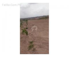 8 Marla Plot Is Available For Sale In Dha Valley, Magnolia Block Prime Location