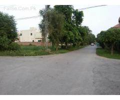 Plot For Sale in Phase 6