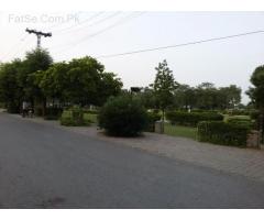 Plot For Sale in Phase 6